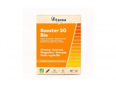 Vitavea Energijos pliūpsnis Booster 5G Bio 10 amp.